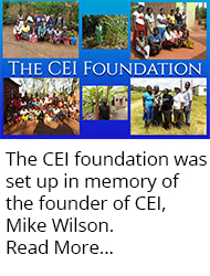CEI Foundation Update
